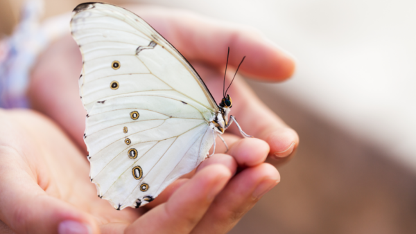 10er-Coaching-Paket – Tiefe & Transformation